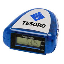 Load image into Gallery viewer, Pedometer With Fm Scanner Radio