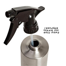 Load image into Gallery viewer, 14oz Stainless Steel Spray Bottle